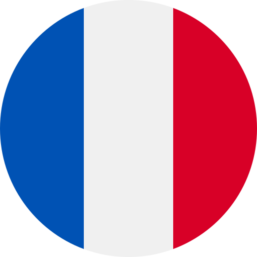 Learn French with Netflix